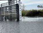 No go to Econ. Bridge up stream side at Gators.