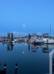 Highlight for Album: Friday Harbor 2025