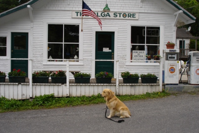 The store was closed or I would have ice cream.