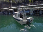 (Sea Wolf) Lake Shasta Gathering