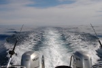 Great conditions for a 40nm run offshore