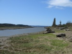 Stilly River, West Pass, Looking north near SR532 bridge.