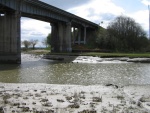 Highlight for Album: Stillaguamish River, South pass, West Pass