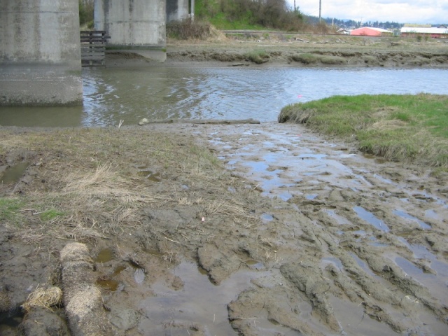Muddy launch ramp, looking east