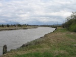 Stilly river, West Pass, looking south from muddy launch ramp