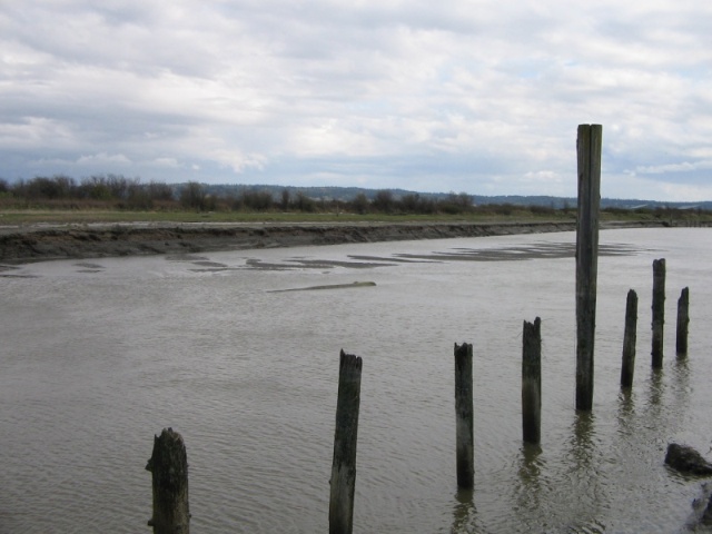 View to SE of previous picture, showing log in mud bottom and muddy shoal.