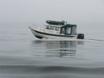 Foggy but the water was glassy