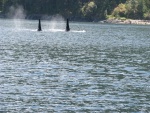 Blind Channel Orcas1