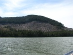 Clear Cut Outside Wrangell