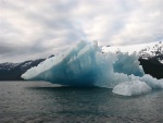 Tracy arm Iceberg