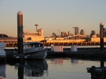 Elliot Bay Marina Wed. 02-11