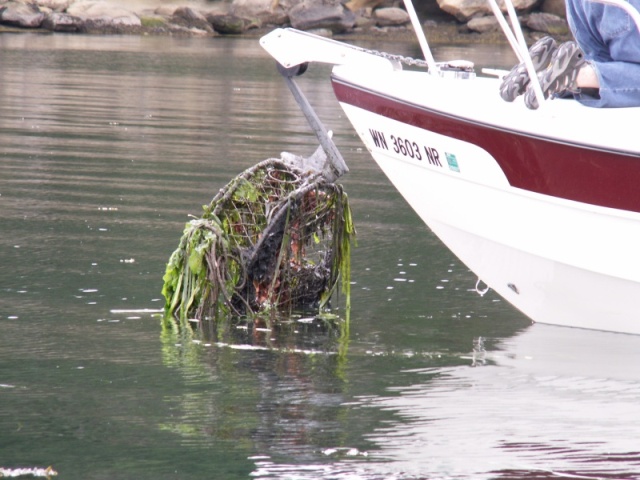 Daydream Snags an Old Crabpot at Shallow Bay 6-10-07