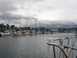 C-DORYS, TOMCATS & TUGS filled the dock at Bellingham