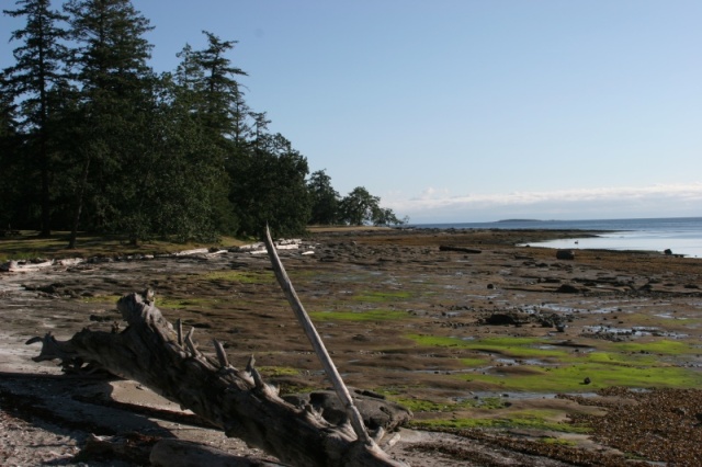 Low Tide at Newcastle Marine Park