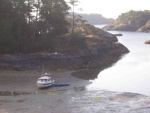 C-Dory anchorage at low tide