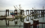 (Ruth & Joe) C-Dorys at the Everett dock: Anna Leigh, Anita Marie and the R-Matey.