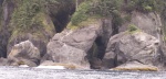 Arch - Cape Flattery - 8-11-07