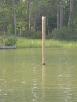 New Pole, now in the water, about 10\' up