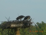 Two Young about to 