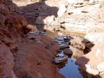 Highlight for Album: Lake Powell 2006