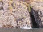 Halcyon Cruising Shoreline - Lake Pend Oreille - 8-18-07