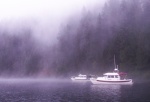 Halcyon and Voyager in Mist - Upper Priest Lake - 8-21-07