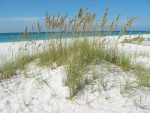 Destin, Fl (Dunes & Gulf)