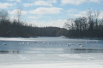 Cross country ski photo of fish/swim hole behind house