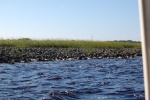 Ballast rocks from old sailing ships of the 1700\'s at mouth of St Marys River