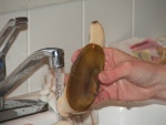 Washing Razor Clam, Yum!!