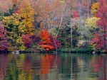 Highlight for Album: Tennessee River Gorge- Nickajack Lake