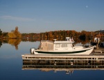 C-Eagle-Nov-at-Goosepond. Fall Evening with day moon in background