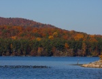 Early Fall morning on Lake Guntersville with a gaggle of Coots-and and a vigilant Great Blue Heron in the foreground.