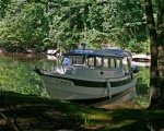 Early Morning on Shoal Creek