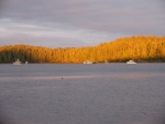 Blunden Harbor, BC