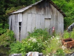 Generator shed made from hand-hewn cedar planks, Myers Chuck