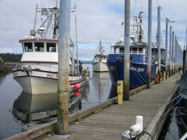 Craig Harbor.  The seine fishing fleet comes in to the harbor between fishing openings.