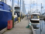 Fishing fleet , Craig docks