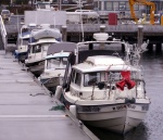 Highlight for Album: Lake Washington Day Cruise 12-15-07