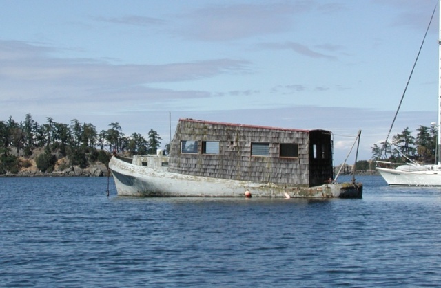 This Cement Hull keeps on floating, year after year in Winter Cove, BC