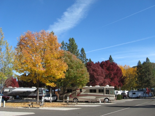 Shady Cove rv on Rogue River gorgeous spot right on the river