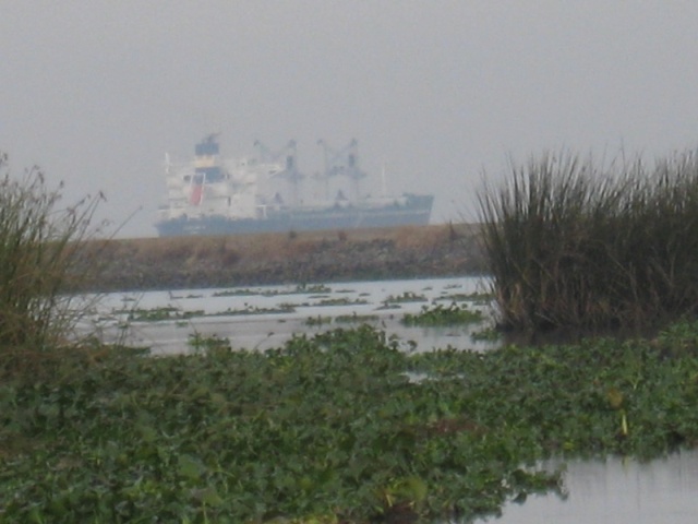 ship on the deep water channel, San Jaquin misty morning