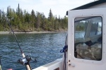 Isle Royale 2007 028