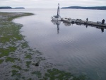 About 30 minutes til the minus 2.2 low tide.  Could be a bare spot not far off the end of the pier at the Sequim Bay State Park.