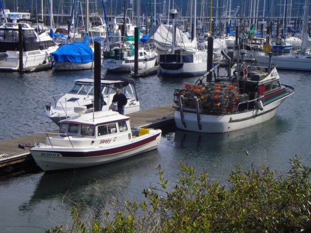 John Wayne dock.  Not just for the beautiful. Lots of the working boats here too.