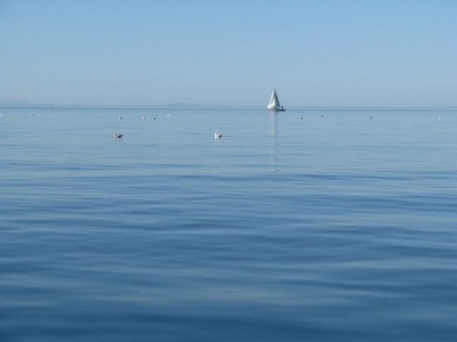 Sure a good thing the tide is headed homeward too, or he wouldn't be making much progress.  Beautiful Blue.