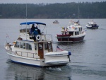 Opening Day boat parade, Sequim Bay out of John Wayne marina.