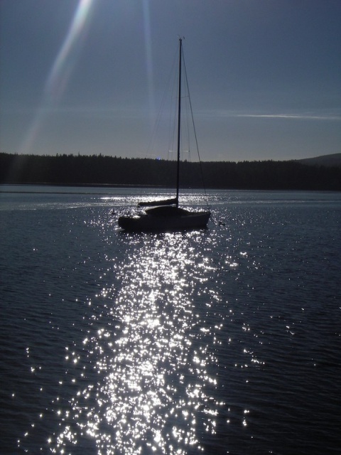 Bright moon evening sail past the state park.