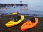 Paddle Days at Hollywood Beach,Port Anglels.