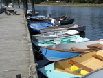 Dingy dock, looks like spring flowers at Mystrey Bay.  There is a C-Dory way down there, and we might be considered a little dingy, at times.